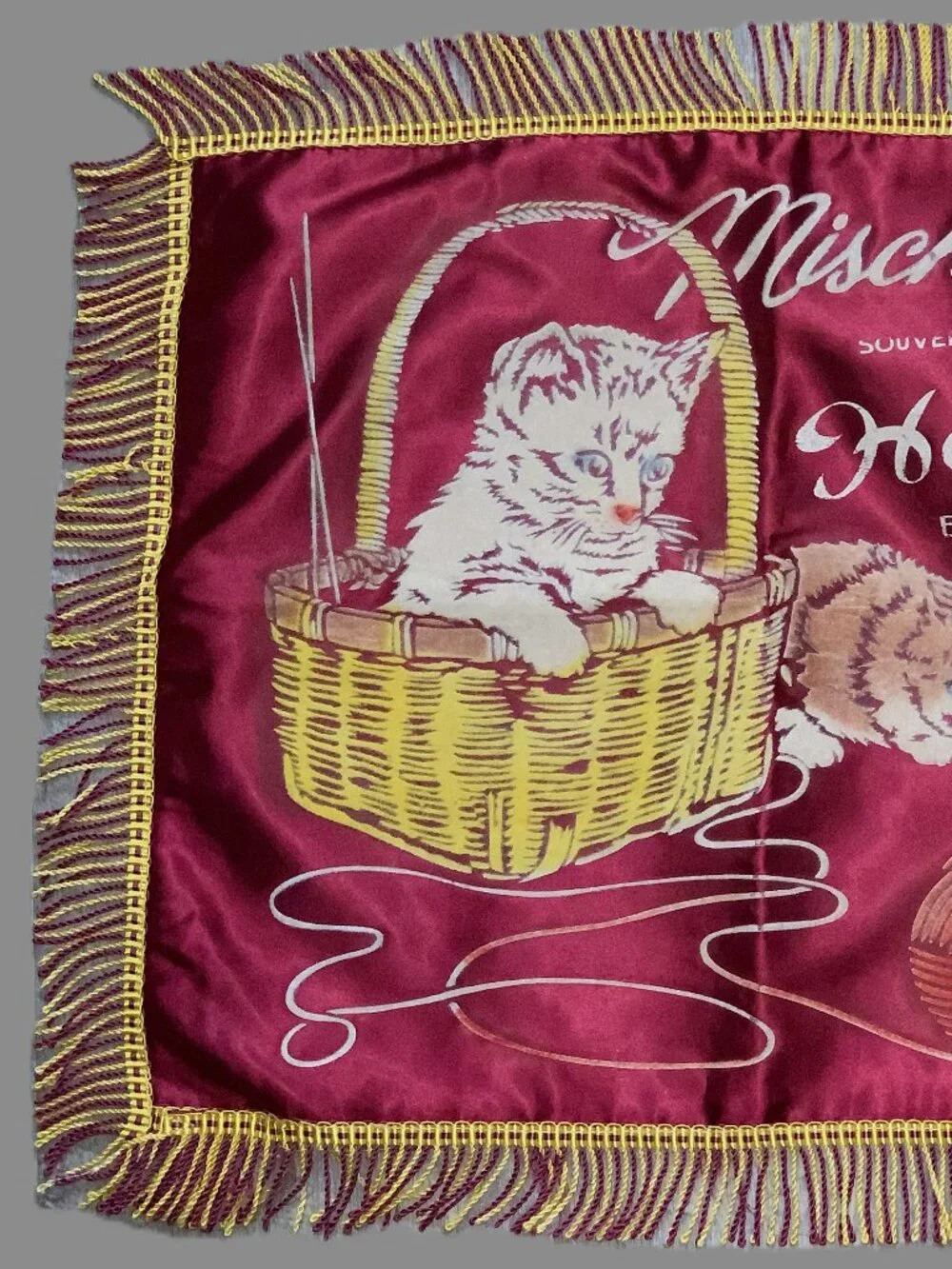 Vintage Hope BC Souvenir Pillow Cover 16